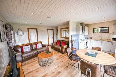 Kitchen or kitchenette, Living room, Seating area, Dining area, oven, pet friendly, stove