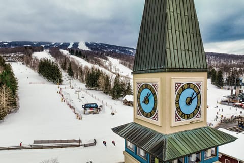 Vantage Point #8 Apartment in Winhall