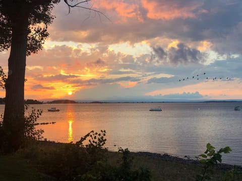 Life on the Lake House in Malletts Bay
