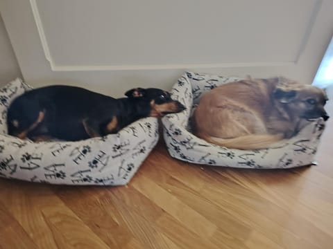 In Piazzetta - Cernobbio House in Cernobbio