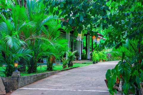 Spring, Natural landscape, Garden, Garden view