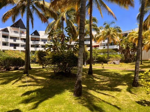Day, Natural landscape, Garden, Garden view
