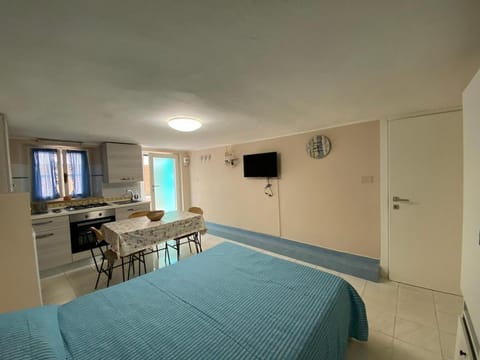 Bed, TV and multimedia, Kitchen or kitchenette, Living room, Photo of the whole room, Seating area, Dining area, Bedroom