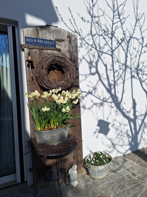 Facade/entrance, Spring, Garden, Garden view