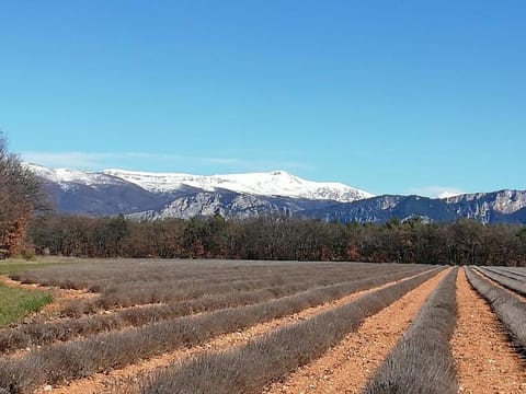 GORGES DU VERDON CAMPING 3 etoiles PROCHE DU LAC DE STE CROIX NBRES ACTIVITES NAUTIQUES RANDONNEES ENTOURE DE CHAMPS DE LAVANDES 4 PERS Campground/ 
RV Resort in Bauduen