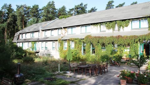 Property building, Autumn, Garden view