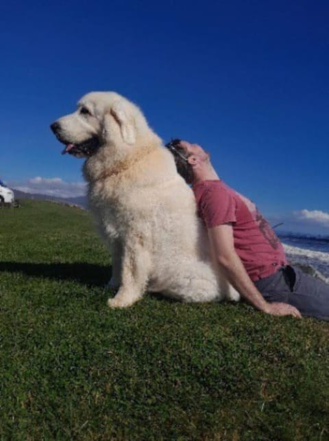 Dunes View, Cottage1, Dunnetbay accommodation House in Scotland