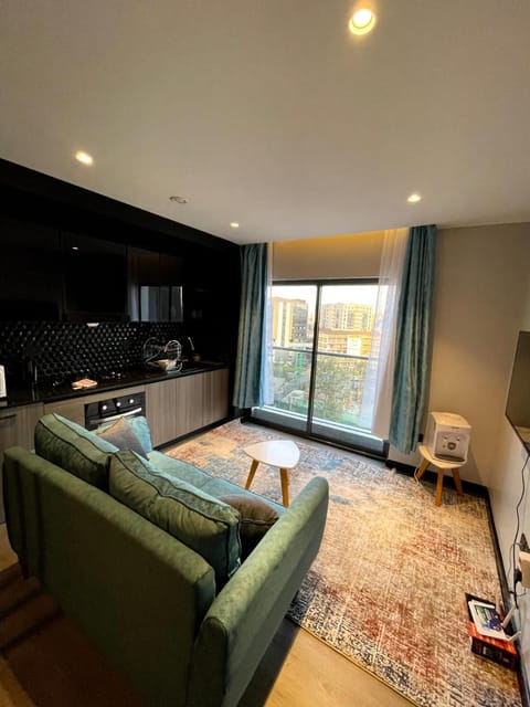 TV and multimedia, Kitchen or kitchenette, Living room, Seating area, Dining area, minibar, pet friendly