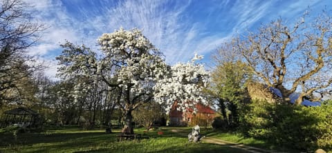 Garden, Garden view