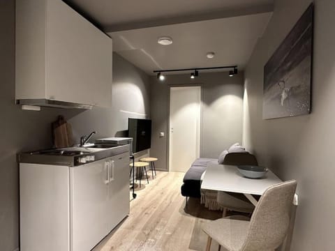 Staying, studio apt. 2 Apartment in Tromso