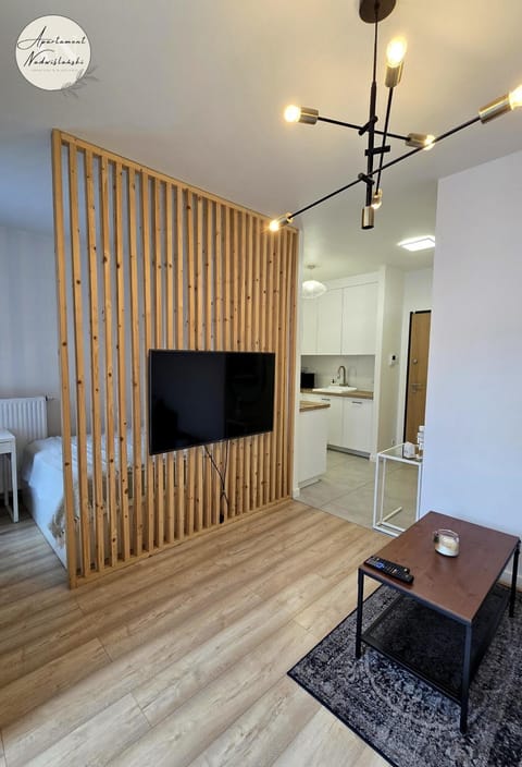 TV and multimedia, Kitchen or kitchenette, Living room, Photo of the whole room, Seating area, Evening entertainment