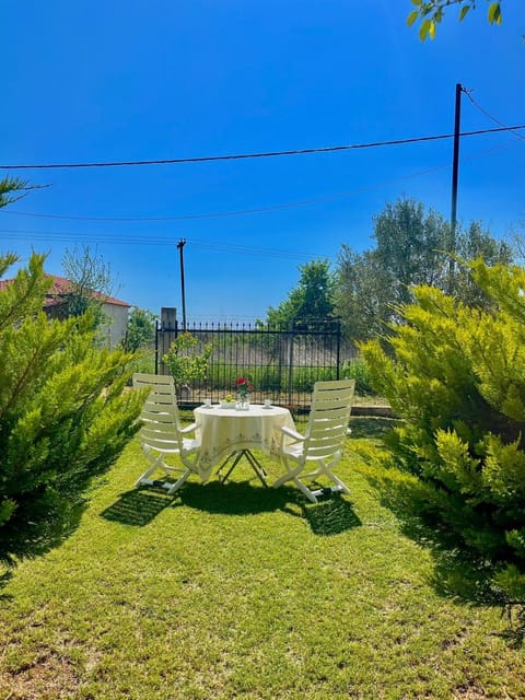 Property building, Garden, Garden view