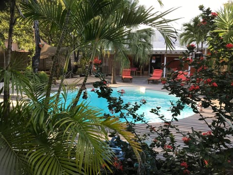 Garden, Swimming pool