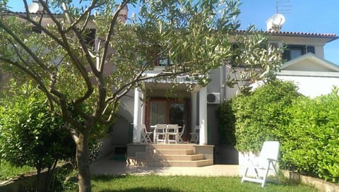 Spring, Garden, Garden view