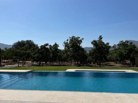 Spring, Swimming pool, sunbed