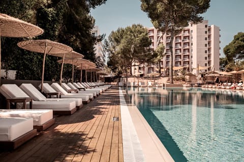 Swimming pool, Swimming pool
