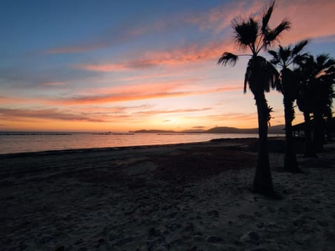 Nearby landmark, Beach