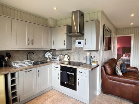 Kitchen or kitchenette, Living room, Seating area, dishwasher, oven, stove, toaster