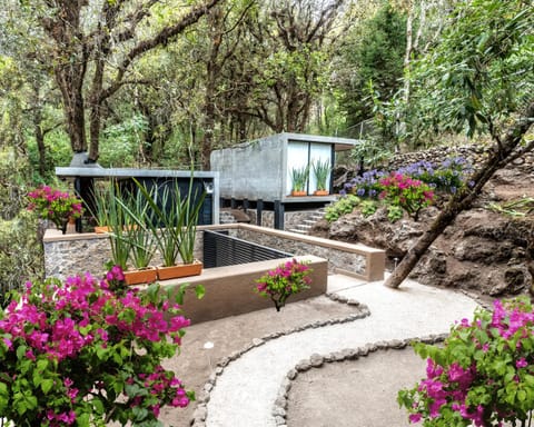 Spring, Natural landscape, Garden, Photo of the whole room, Garden view, Area and facilities