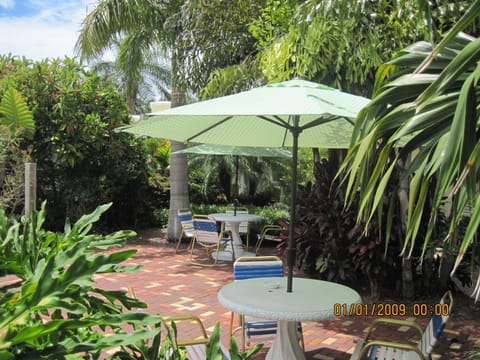 Garden view