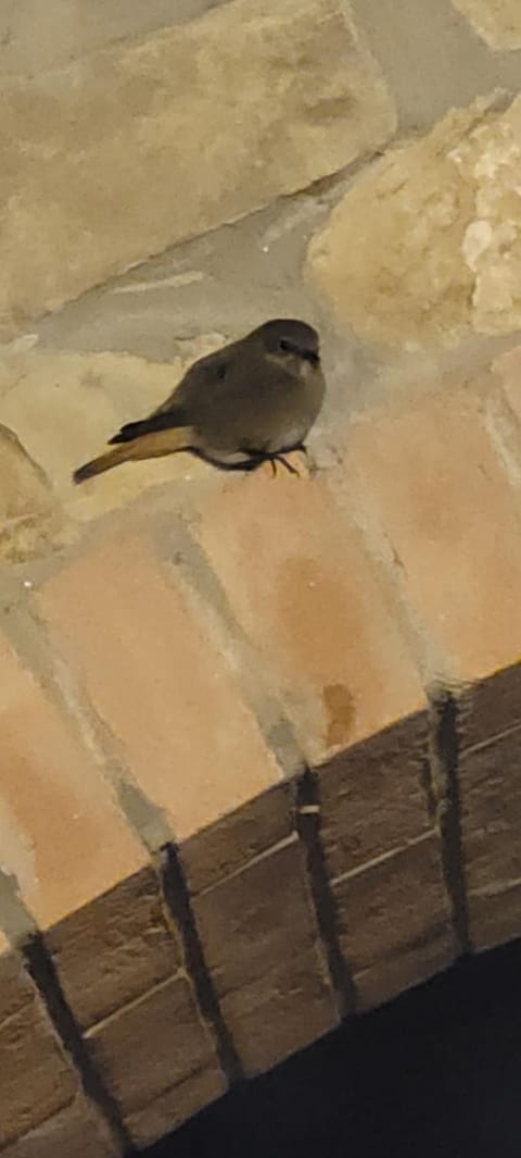 Casa Nolè Apartment in Tuscany