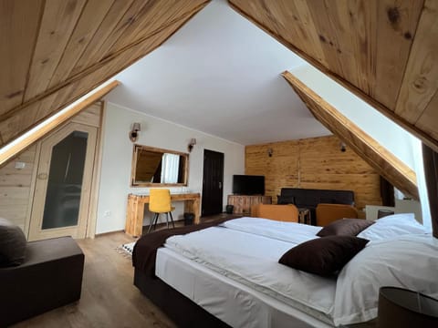 Bed, Sauna, TV and multimedia, Photo of the whole room, Bedroom