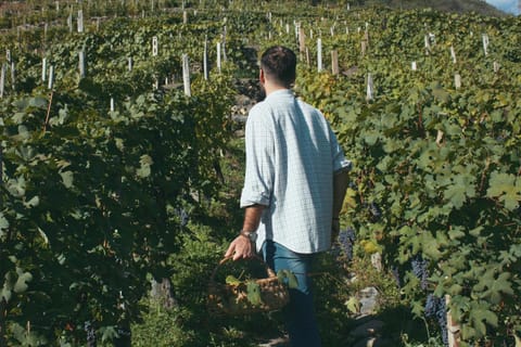 Spring, Day, People, Natural landscape, Hiking, Entertainment, group of guests, Family