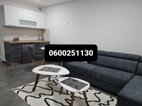 Silver city 1 Apartment in Serbia