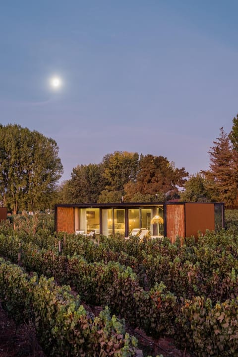 Property building, Garden, Garden view