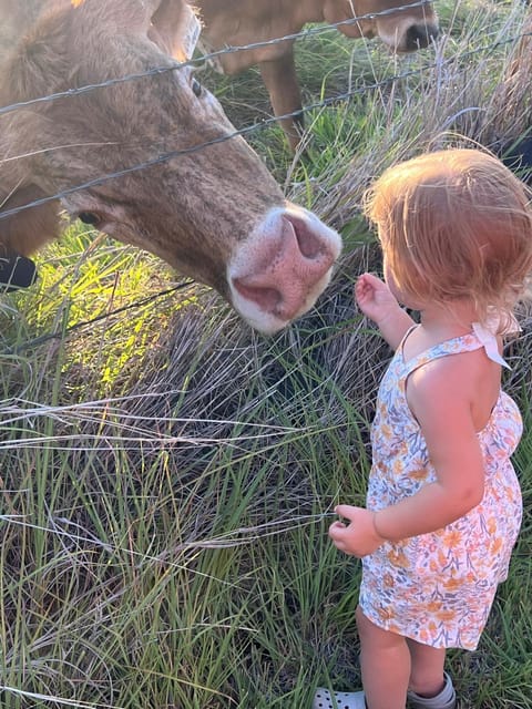 Day, People, Natural landscape, Animals, children, group of guests