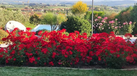 Activities, Garden, Animals, Pool view, Swimming pool, children, Family