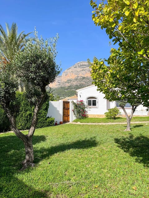 Natural landscape, Garden view