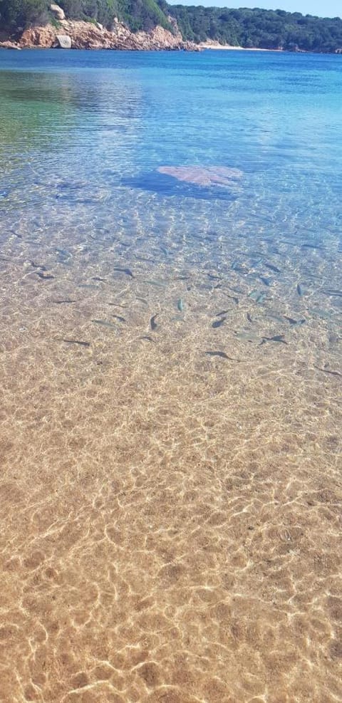 Appartamento BlueWater Apartment in Sardinia