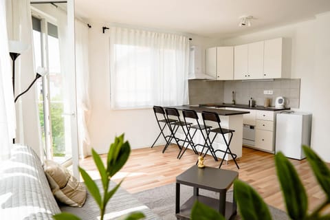 Day, Photo of the whole room, kitchen