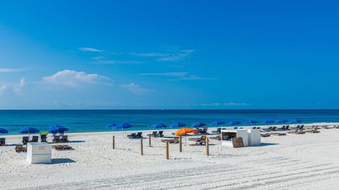 Phoenix V by Brett Robinson Vacations Apartment in Orange Beach