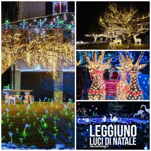 Miky’S home Apartment in Canton of Ticino