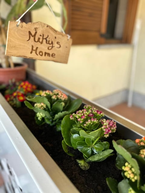 Miky’S home Apartment in Canton of Ticino