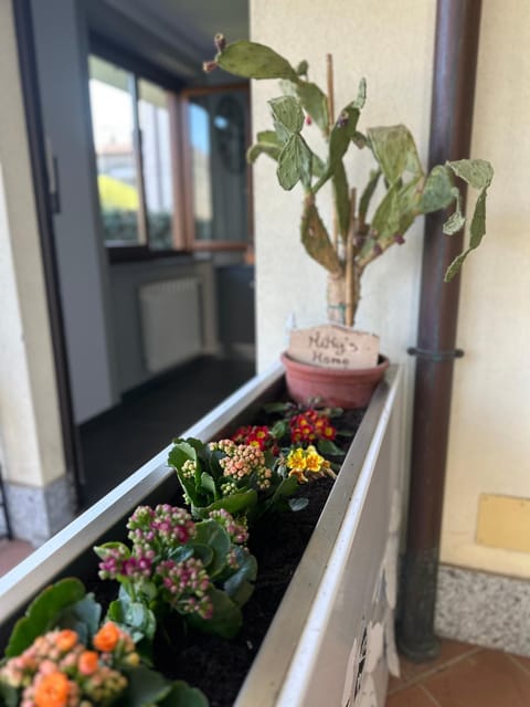 Miky’S home Apartment in Canton of Ticino