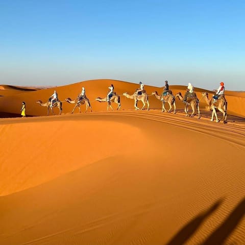 Property building, Day, People, Natural landscape, Cycling, group of guests