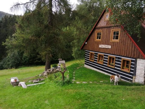 Property building, Spring, Day, Natural landscape, Animals