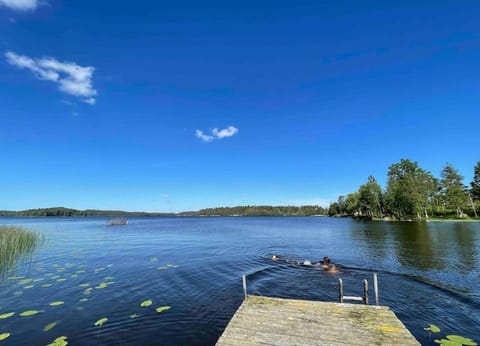 Lake view