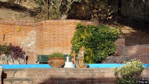Day, Garden, Garden view, Pool view, Swimming pool