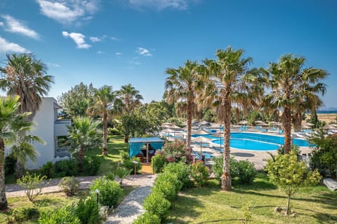 Garden, Pool view, Swimming pool