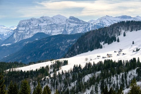 HEUBERG 1014 - FERIEN - Wohnen Apartment in Vorarlberg, Austria