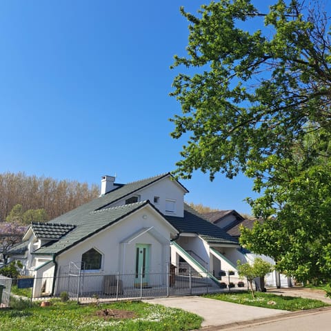 Property building, Spring, Day, Garden, Garden view, Street view