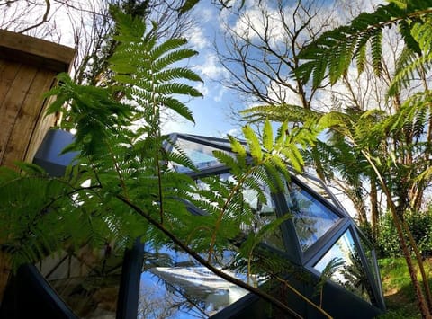 Romance - Stargazing - Hot tub & sauna! House in England