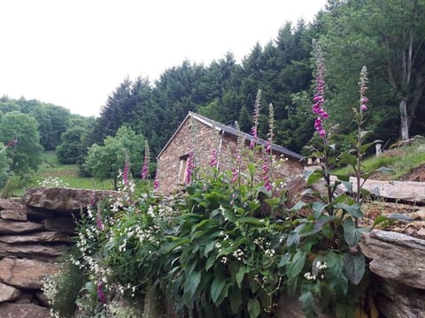 Nearby landmark, Natural landscape, Landmark view