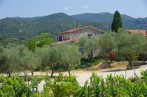 Property building, Spring, Day