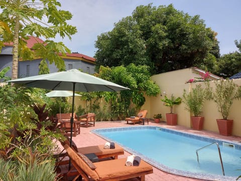 Day, Garden, Garden view, Pool view, Swimming pool, Swimming pool, sunbed