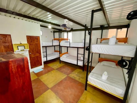 Photo of the whole room, bunk bed, towels